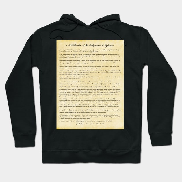 A Declaration of the Independence of Cyberspace Hoodie by innerspaceboy